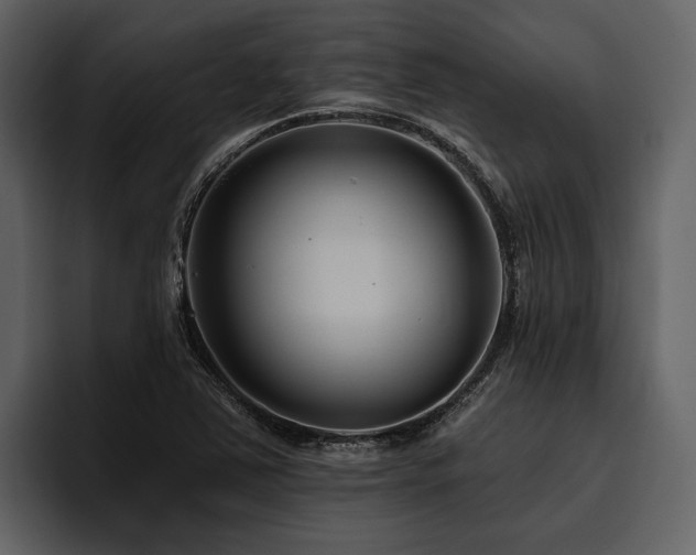 X0000095921363200801111227