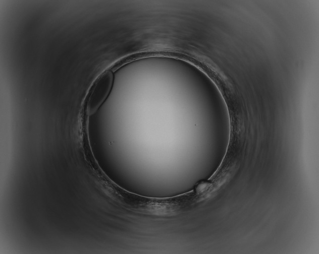 X0000095921364200801111227