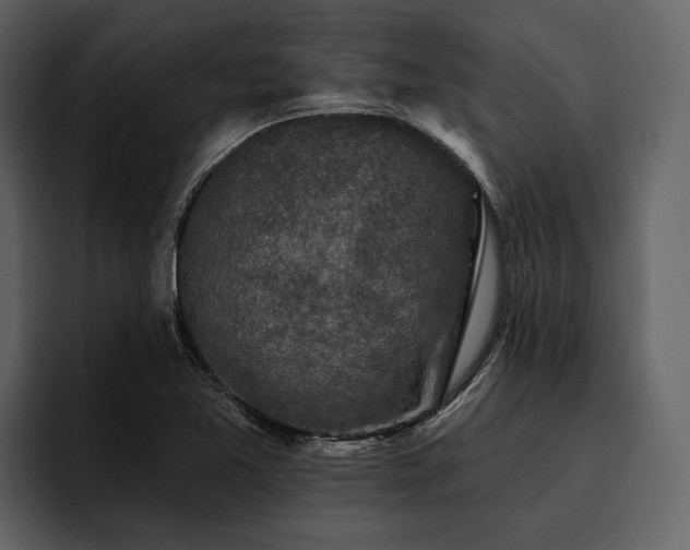 X0000095921365200801111227