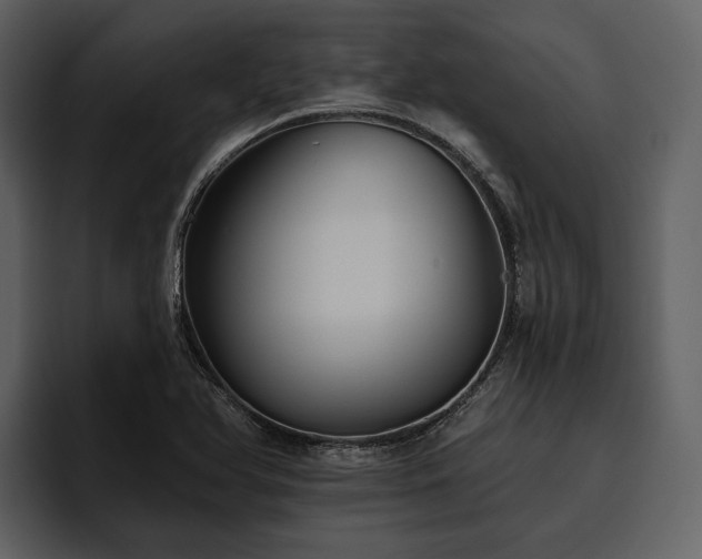 X0000095921366200801111227