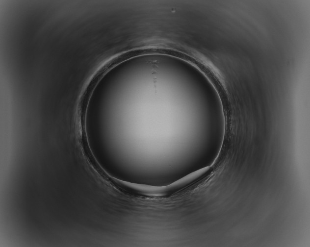 X0000095921368200801111227