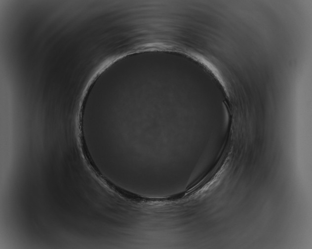 X0000095921373200801111226