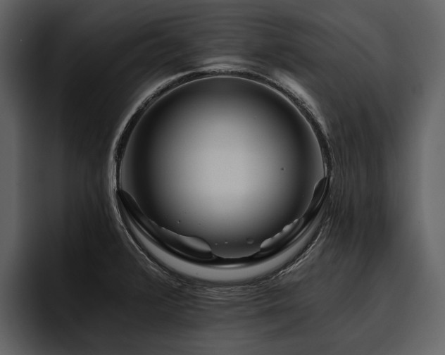 X0000095921376200801111226