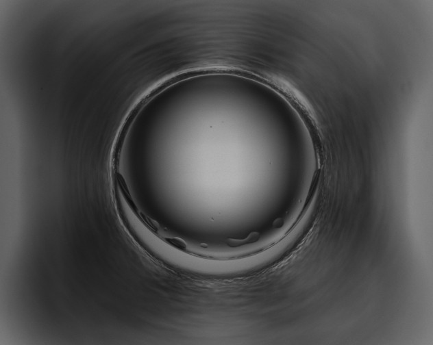 X0000095921380200801111226