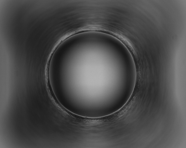 X0000095921382200801111226