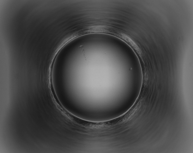 X0000095921386200801111226