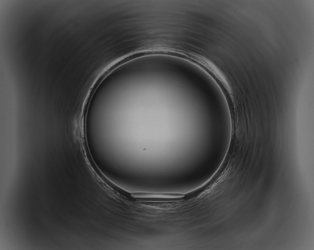 X0000095921388200801111226