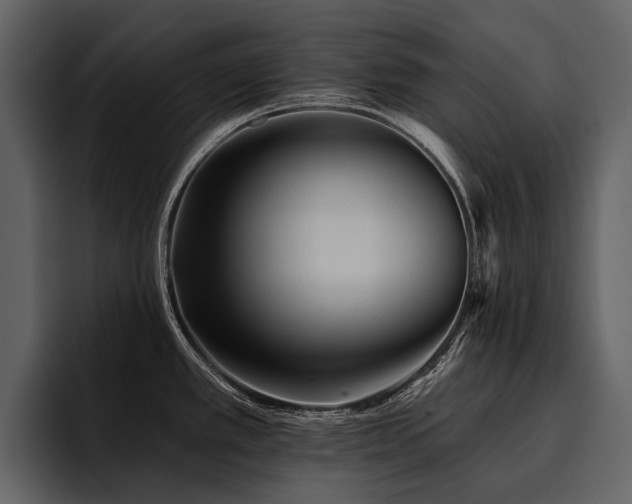 X0000095921389200801111226