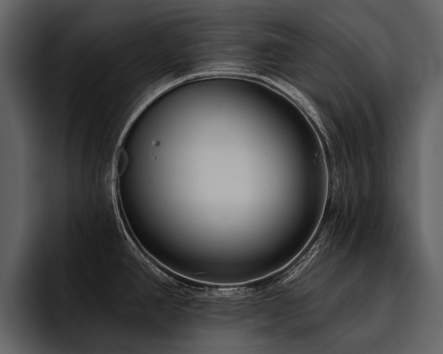 X0000095921390200801111226