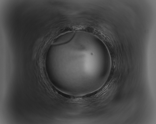 X0000095921393200801111226