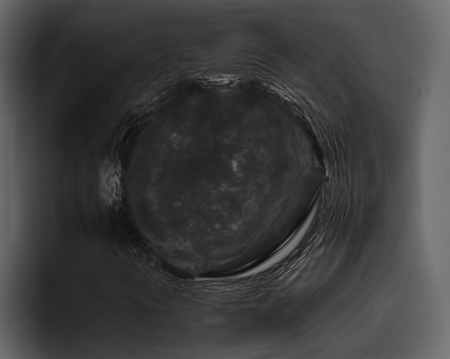 X0000095921394200801111226
