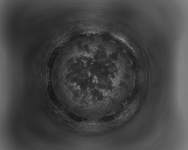 X0000095921399200801111226