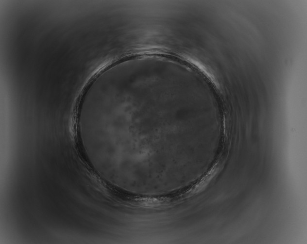 X0000095921405200801111226