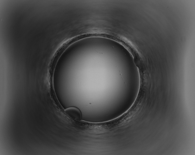 X0000095921408200801111226