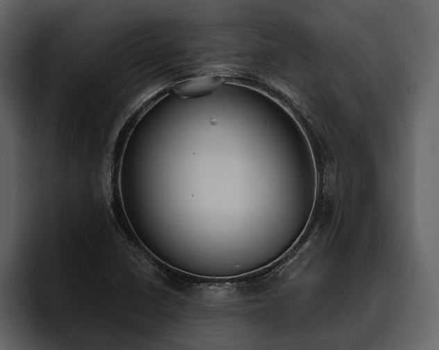 X0000095921410200801111226