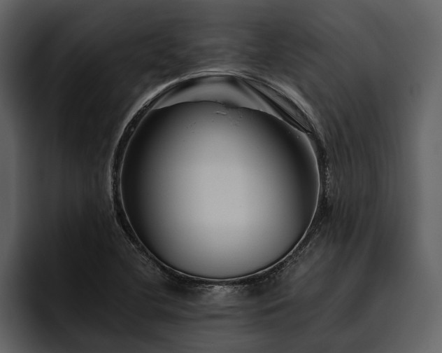 X0000095921412200801111226
