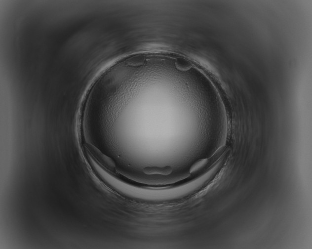X0000095921421200801111226