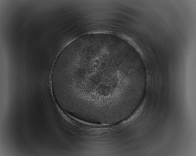 X0000095921425200801111226
