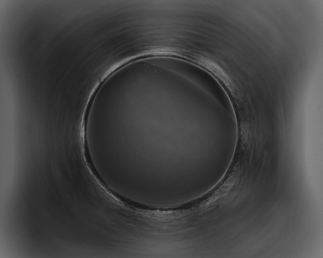 X0000095921428200801111226