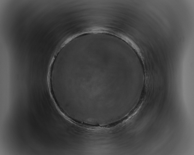 X0000095921429200801111226