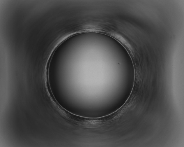X0000095921431200801111226
