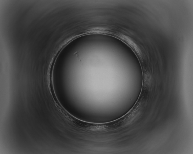 X0000095921435200801111226
