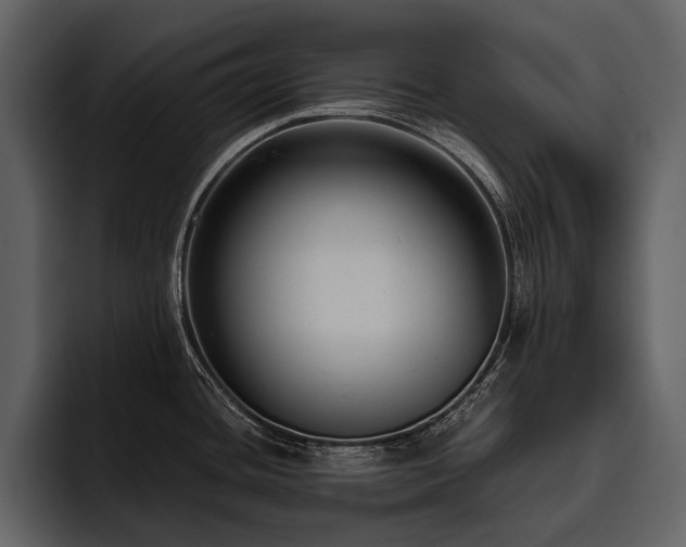 X0000095921436200801111226