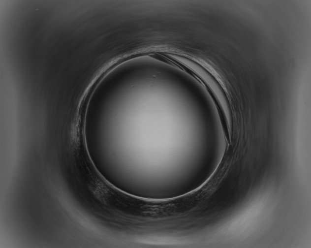 X0000095921438200801111226