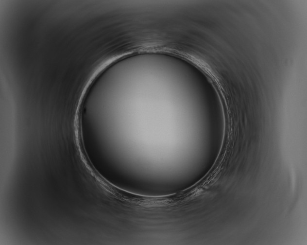 X0000095921440200801111226