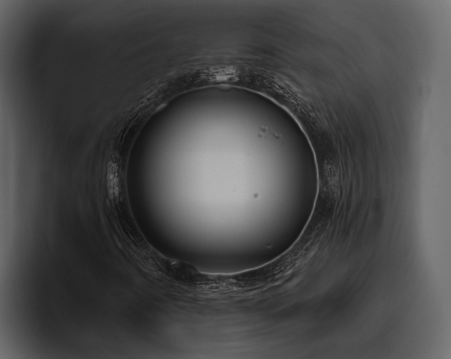 X0000095921442200801111226