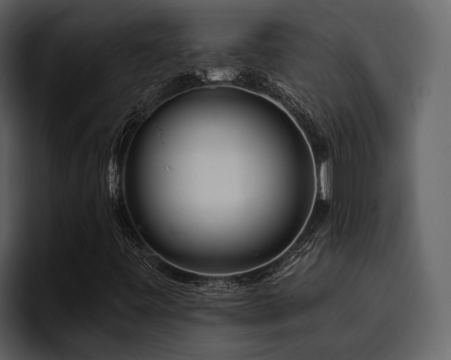 X0000095921443200801111226
