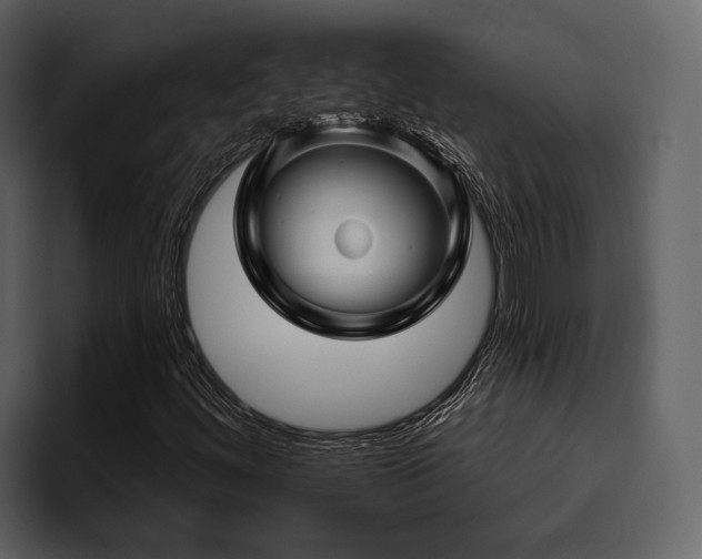 X0000095921444200801111226