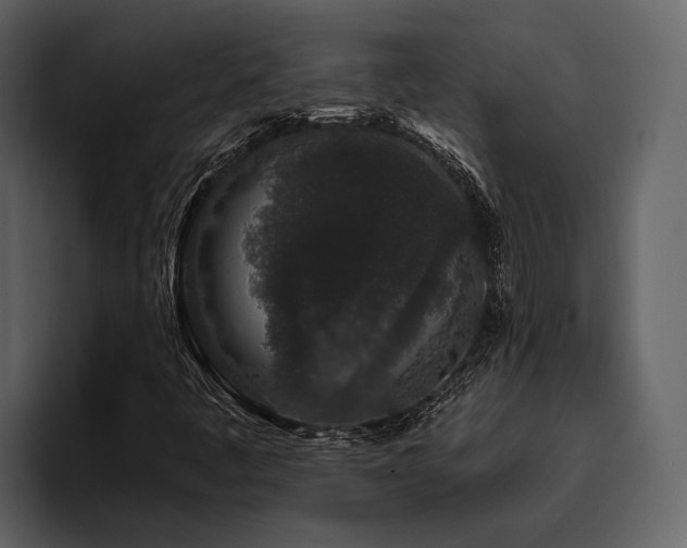 X0000095921445200801111226