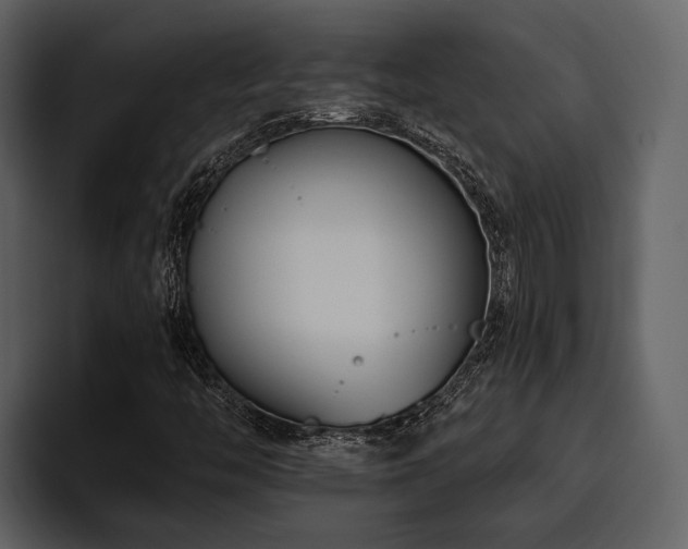 X0000095921446200801111226