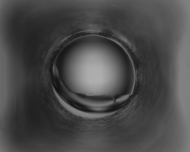 X0000095921448200801111225