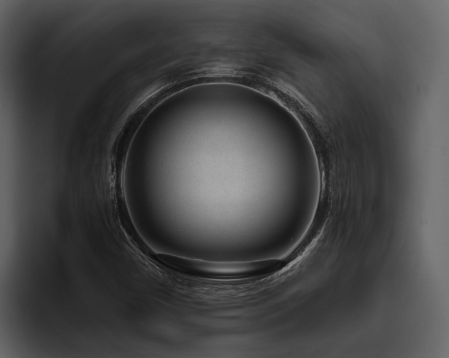 X0000095921450200801111225