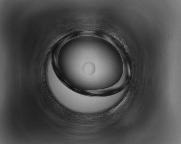 X0000095921453200801111225