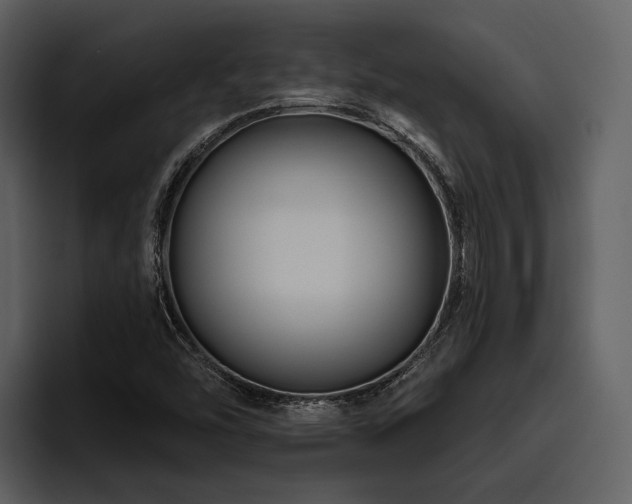 X0000095921454200801111225