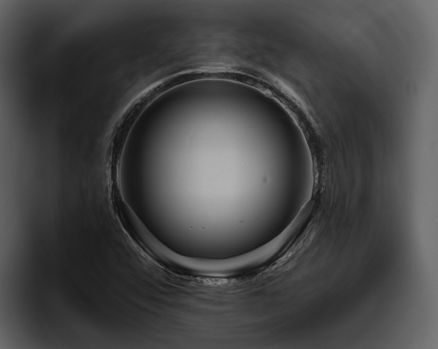 X0000095921456200801111225