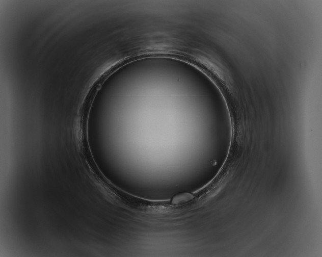 X0000095921458200801111225