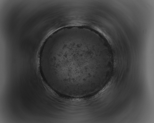 X0000095921459200801111225