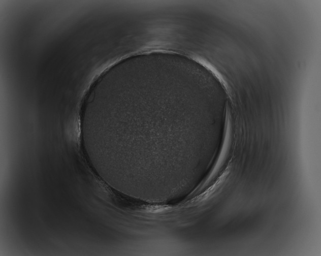X0000095921461200801111225