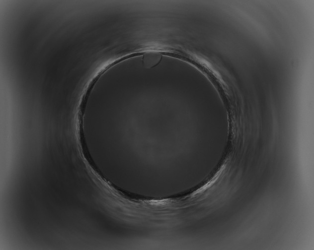 X0000095921463200801111225