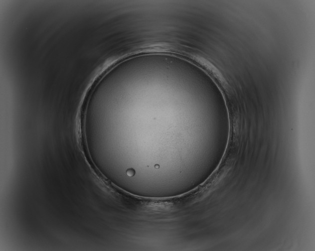 X0000095921466200801111225