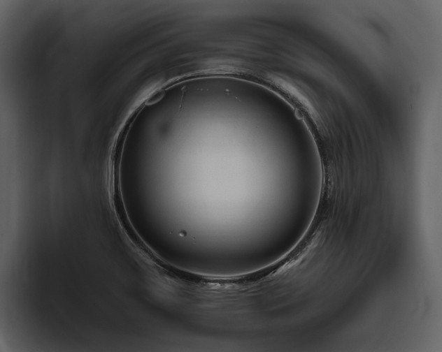 X0000095921467200801111225