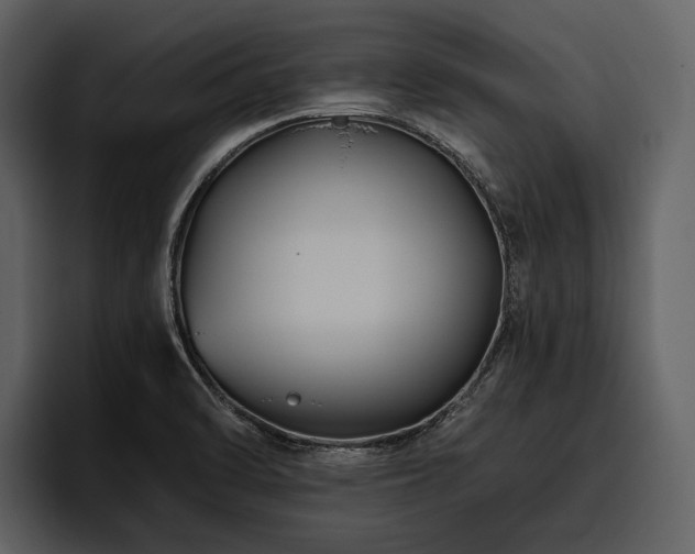 X0000095921470200801111225