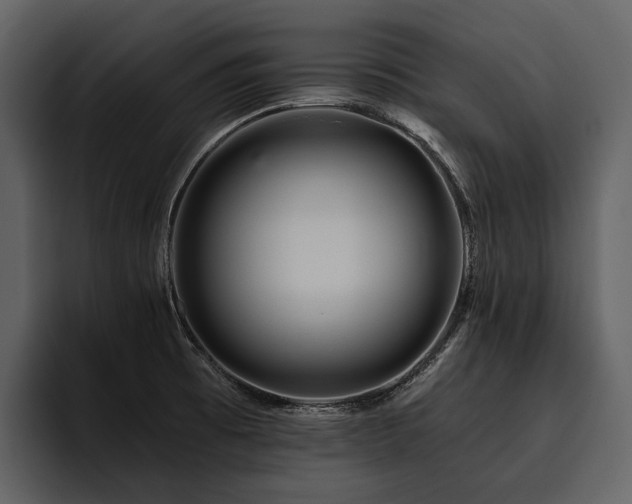 X0000095921473200801111225