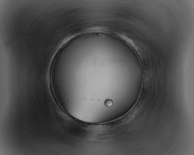 X0000095921474200801111225