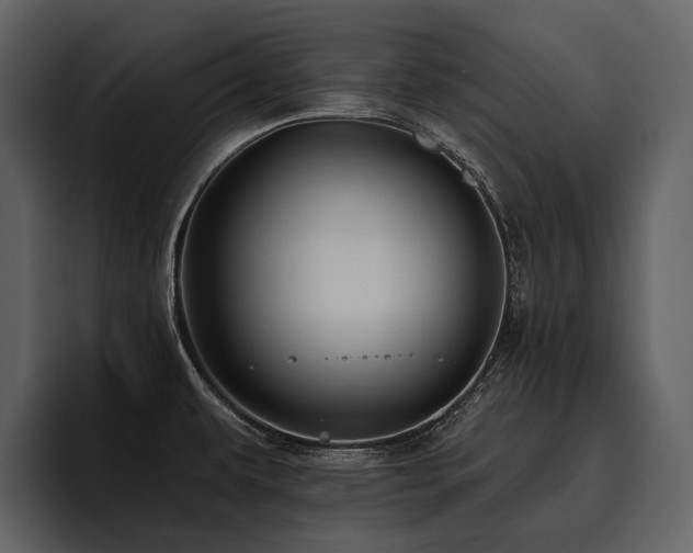 X0000095921479200801111225