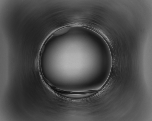 X0000095921484200801111225